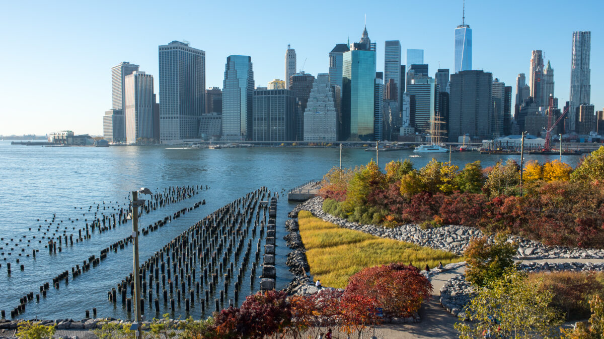 Risks, adaptation and resilience on coasts and in cities