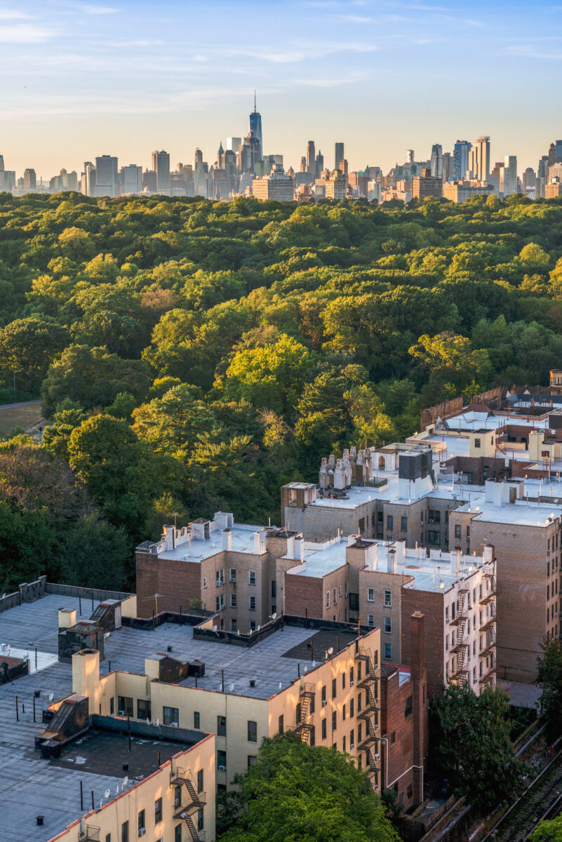 Picture of Prospect Park from above at sunset time with the Manhattan skyline as background.