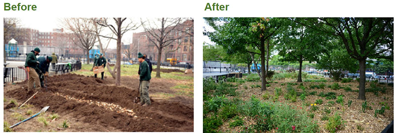 Before and after images of gardening in the South Pacific Playground in Brooklyn through the Community Parks Initiative.